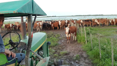 La pesada carga que no afloja para el campo