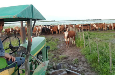 La pesada carga que no afloja para el campo