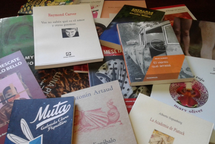 libreria virtual.jpg