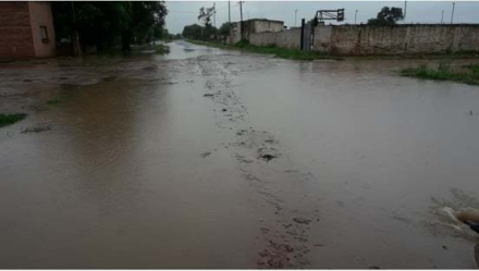 Impenetrable lluvia 2.JPG