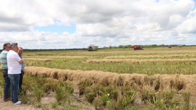 Peppo recorrió el complejo productivo de pacú y arroz en La Leonesa