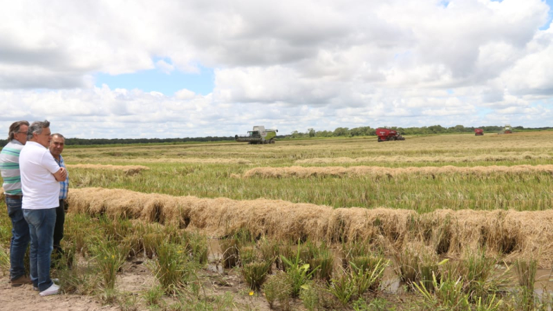 Peppo recorrió el complejo productivo de pacú y arroz en La Leonesa