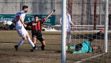 golazo01.jpg