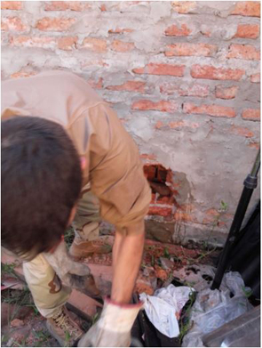 perro rescatado 4.JPG