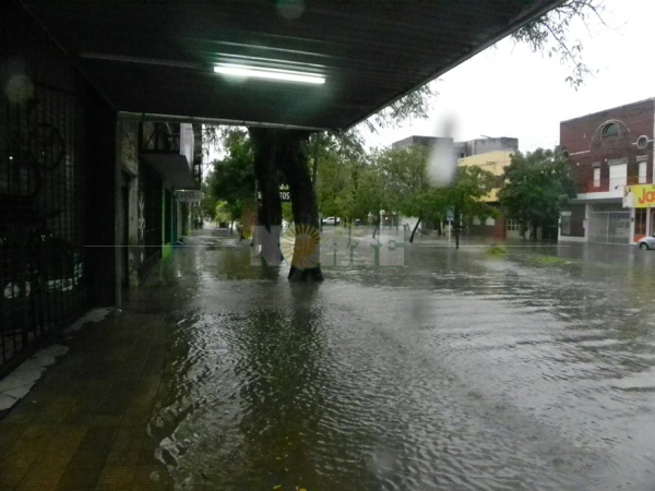 Foto 11