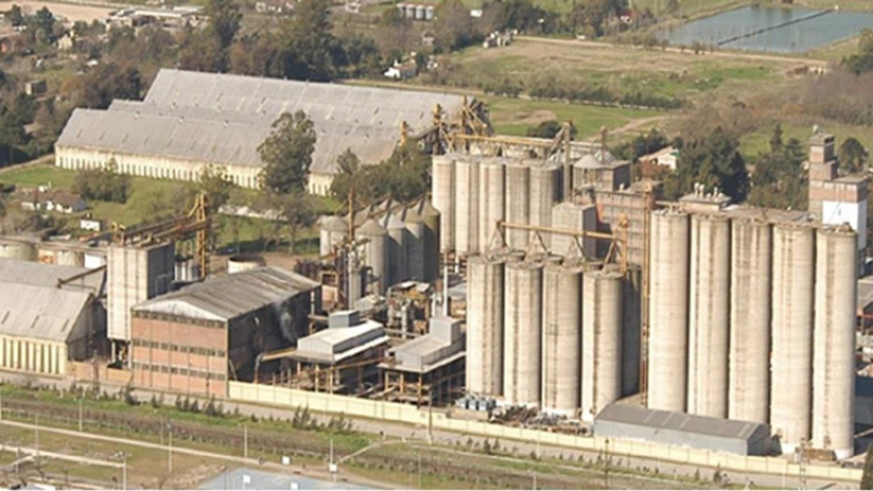 Molinos Cañuelas ratifica acuerdo con acreedores pero el Macro le pide la quiebra