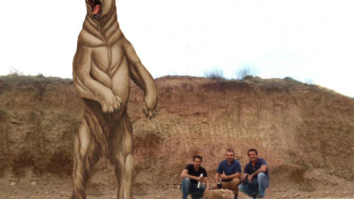 Descubren un oso gigante de 700.000 años de antigüedad