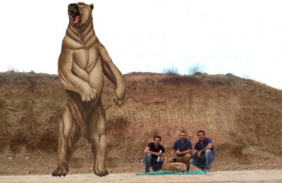 Descubren un oso gigante de 700.000 años de antigüedad
