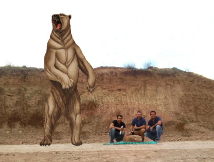 Representación-del-oso,-jun.jpg