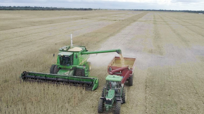 El gobierno espera la ayuda del campo con el ingreso de dólares por exportación