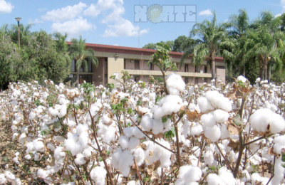 Productores piden que el INTA sea un organismo autárquico