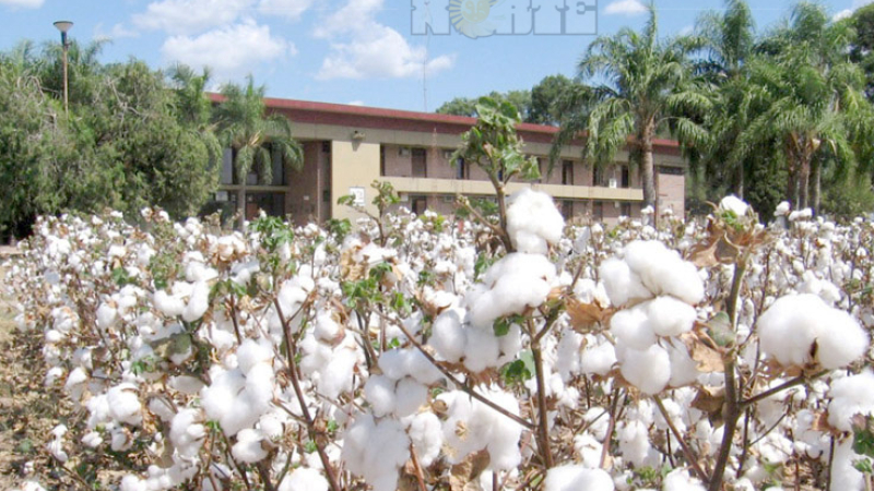 Productores piden que el INTA sea un organismo autárquico