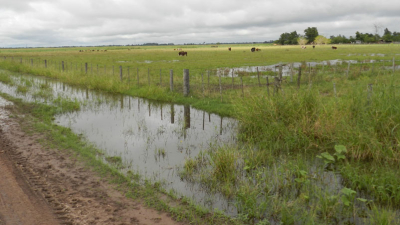 Productores de la zona de Tres isletas seriamente afectados por las inundaciones