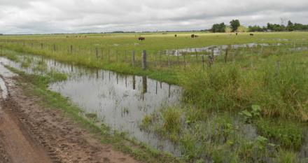 CANAL-EN-ZONA-RURAL-01.jpg