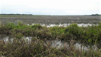 Cambio climático: el gran desafío para la agricultura argentina