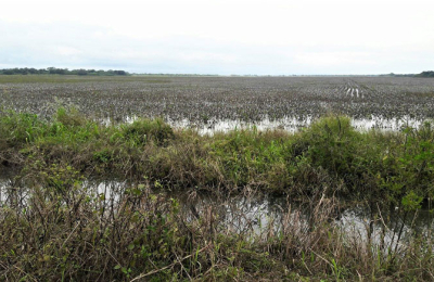 Cambio climático: el gran desafío para la agricultura argentina