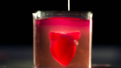 Israel: crean un corazón vivo con tejido humano impreso en 3D
