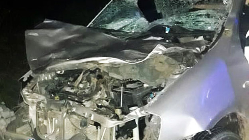 Joven se salva de milagro al chocar su auto a caballo suelto