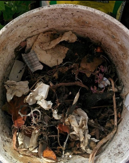 compost.jpg