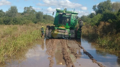 Apurados por los pronósticos, productores realizan la trilla de soja