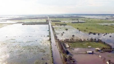 Manejo del ganado afectado por las inundaciones