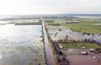 Manejo del ganado afectado por las inundaciones