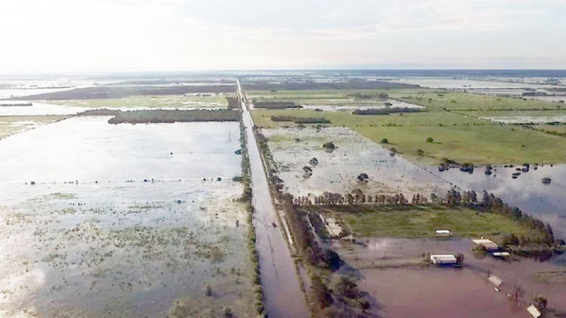 Manejo del ganado afectado por las inundaciones