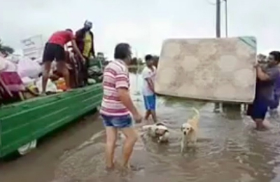 El Chaco somos todos sin reacción colectiva