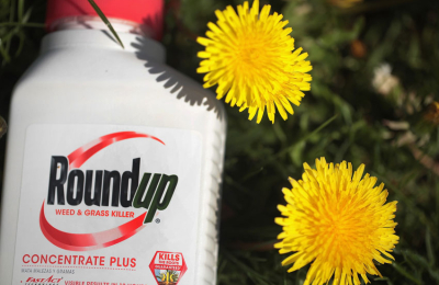 Condenan a Monsanto a pagar suma millonaria por su herbicida Roundup
