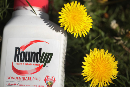 roundup.jpg