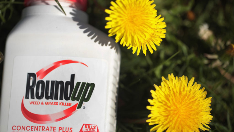 Condenan a Monsanto a pagar suma millonaria por su herbicida Roundup