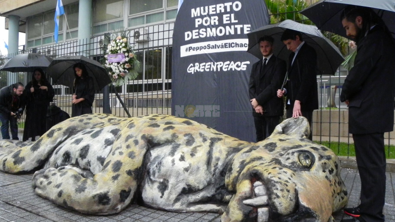 Impactante protesta de Greenpeace en Resistencia por la preservación del yaguareté