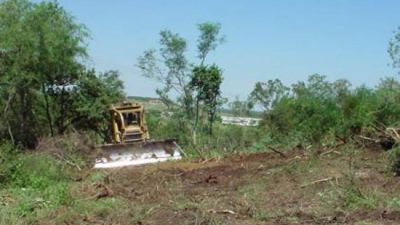 Fallo del juez Julián Flores frenó los desmontes en zona amarilla
