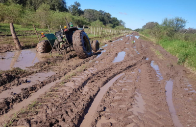 La cosecha de soja avanza, pero la calidad es muy baja