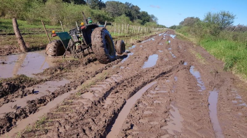 La cosecha de soja avanza, pero la calidad es muy baja