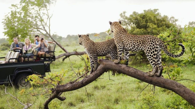 Un leopardo mató a un niño de dos años en un parque natural de Sudáfrica