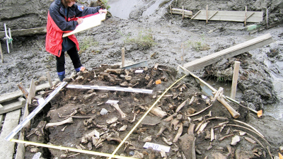 Dos dientes de leche de hace 31.000 años revelan la existencia de una antigua población humana hasta ahora desconocida