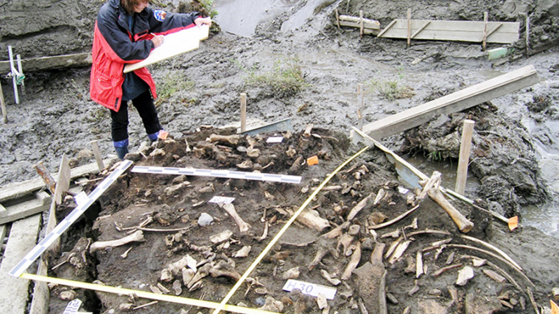 Dos dientes de leche de hace 31.000 años revelan la existencia de una antigua población humana hasta ahora desconocida