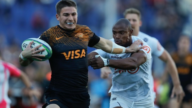 Jaguares sin techo