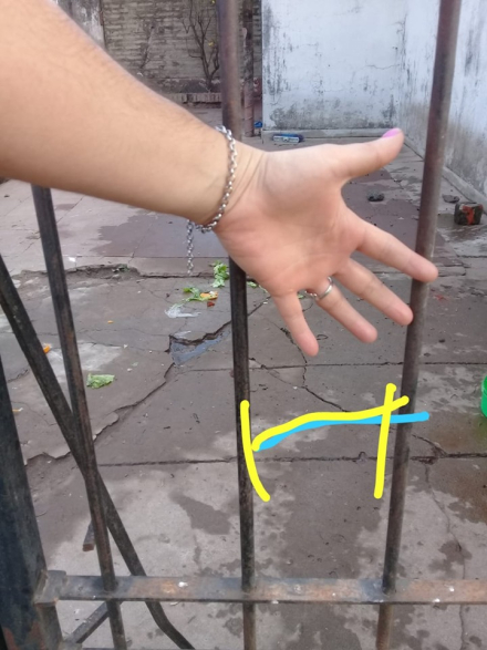 perro peligroso 2.jpg