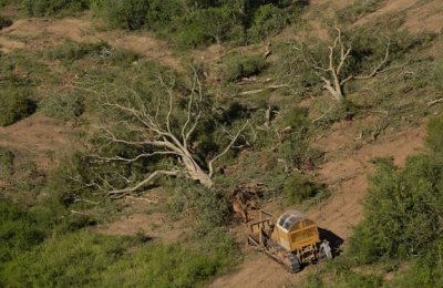 Somos Monte se mete de lleno en la lucha judicial por los bosques nativos