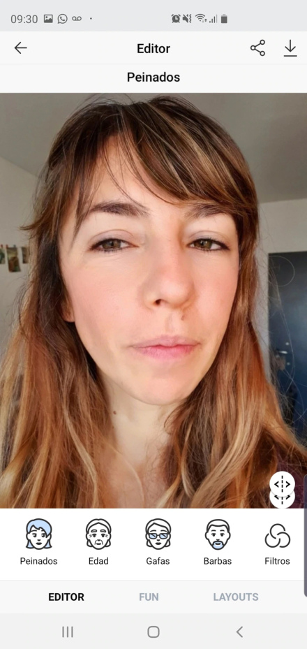 app2.jpg