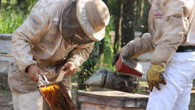 Producción orgánica, una herramienta para más rentabilidad que garantiza el cuidado del ambiente