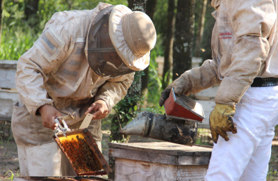 Producción orgánica, una herramienta para más rentabilidad que garantiza el cuidado del ambiente