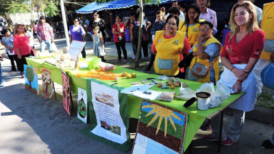 Un movimiento agroecológico y latinoamericano