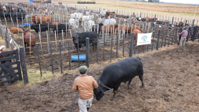 Agronea 2019, escenario de actualidad