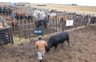 Agronea 2019, escenario de actualidad
