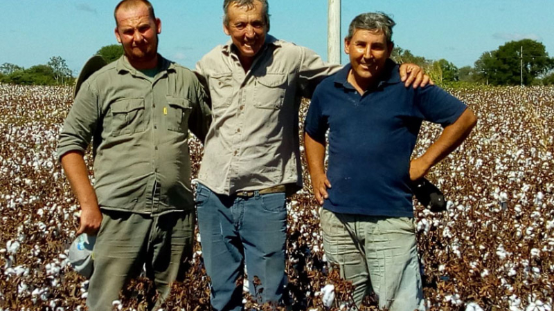 Omar Farana: “El algodón sigue remando contra viento y marea”