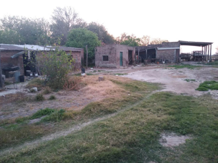 58campo-de-don-pedro.jpg