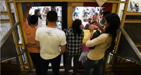 cultura4.jpg